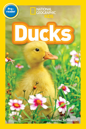 Ducks (National Geographic Kids Readers, Pre-Reader) by Jennifer Szymanski and National Geographic Kids