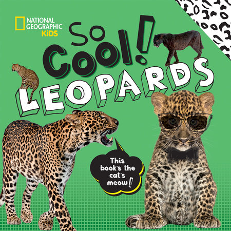 So Cool! Leopards by Crispin Boyer