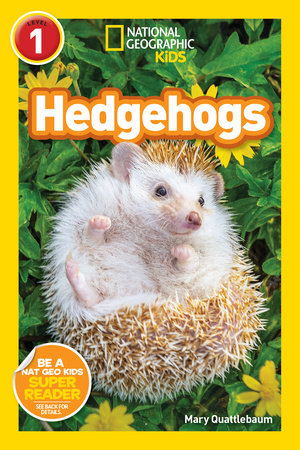 Hedgehogs (National Geographic Kids Readers, Level 1) by Mary Quattlebaum and National Geographic Kids