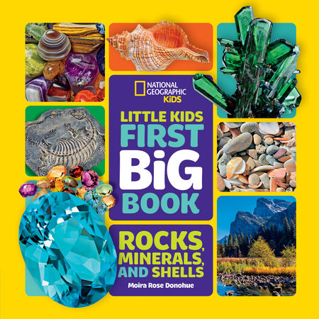 National Geographic Little Kids First Big Book of Rocks, Minerals & Shells by Moira Rose Donohue