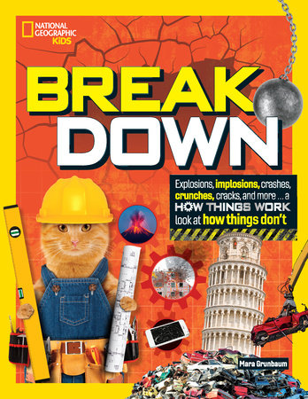 Break Down by Mara Grunbaum