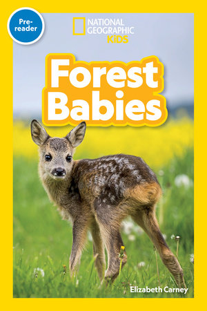 Forest Babies (National Geographic Kids Readers, Pre-Reader)