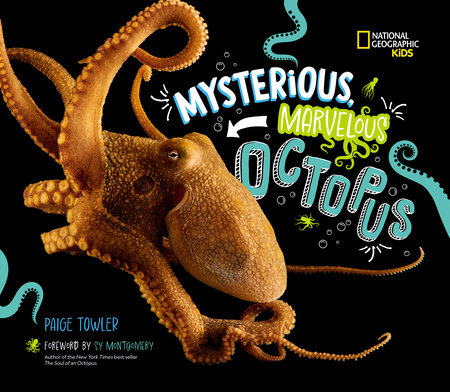 Mysterious, Marvelous Octopus! by Paige Towler