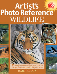 Artist's Photo Reference - Wildlife