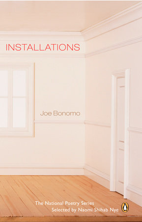 Installations by Joe Bonomo