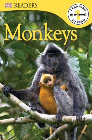 DK Readers L0: Monkeys