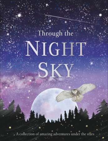 Through the Night Sky by DK