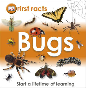 First Facts: Bugs