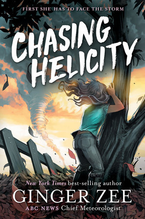 Chasing Helicity: Chasing Helicity-Chasing Helicity, Book 1 by Ginger Zee