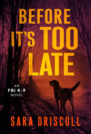 Before It's Too Late by Sara Driscoll