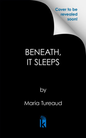 Beneath, It Sleeps: Deluxe Stenciled Edges by Maria Tureaud