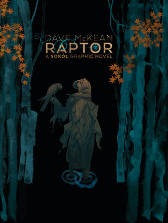 Raptor: A Sokol Graphic Novel by Dave McKean