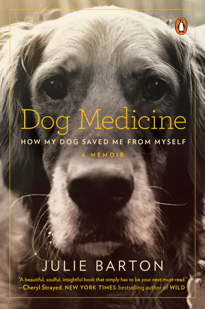 Dog Medicine by Julie Barton