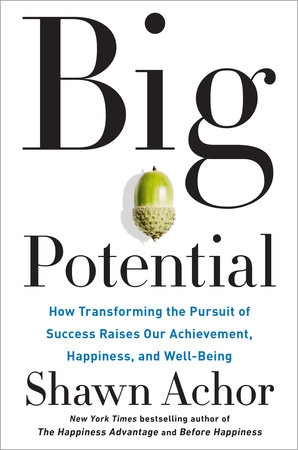 Big Potential by Shawn Achor