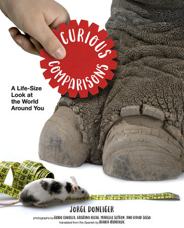 Curious Comparisons: A Life-Size Look at the World Around You by Jorge Doneiger