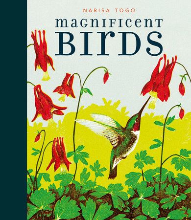 Magnificent Birds by Candlewick Press