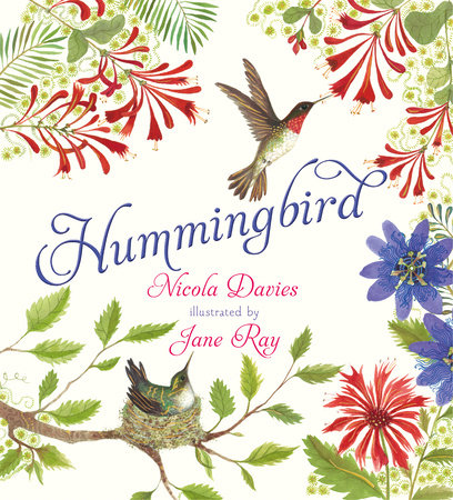 Hummingbird by Nicola Davies