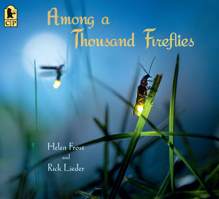 Among A Thousand Fireflies By Helen Frost Penguinrandomhousecom Books - 