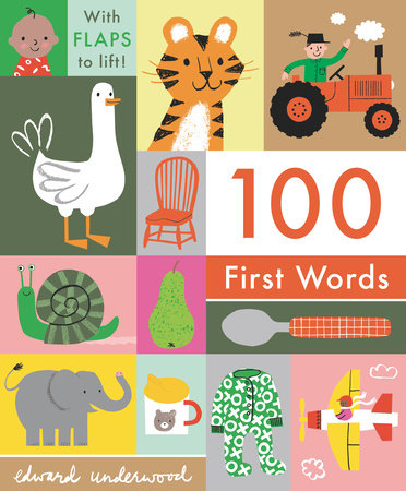 100 First Words: With Flaps to Lift by 