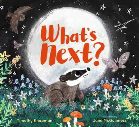 What's Next? by Timothy Knapman