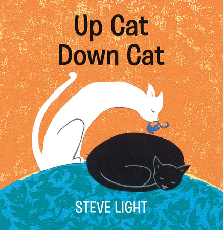 Up Cat Down Cat by Steve Light