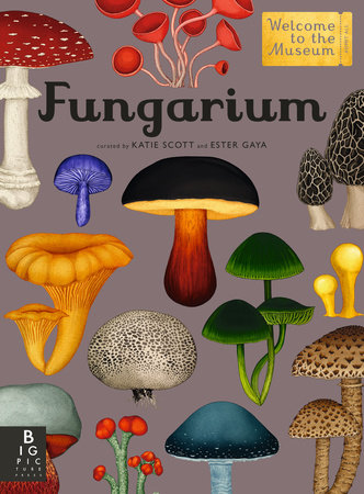 Fungarium by Gaya Ester