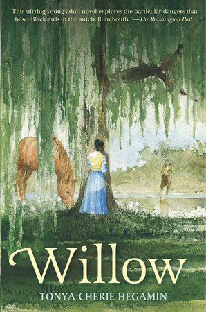 Willow Book Cover Picture