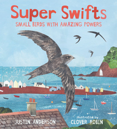 Super Swifts: Small Birds with Amazing Powers by Justin Anderson