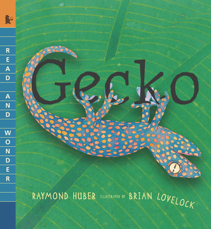Gecko by Raymond Huber; Illustrated by Brian Lovelock