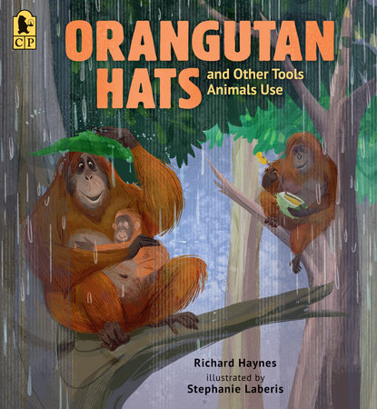 Orangutan Hats and Other Tools Animals Use by Richard Haynes