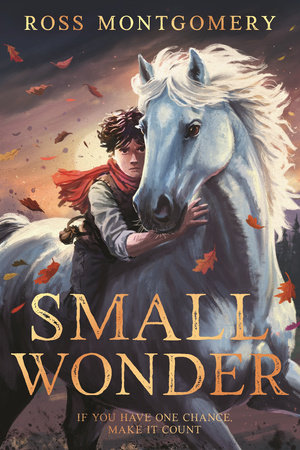 Small Wonder by Ross Montgomery