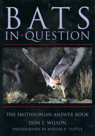 Bats in Question by Don E. Wilson
