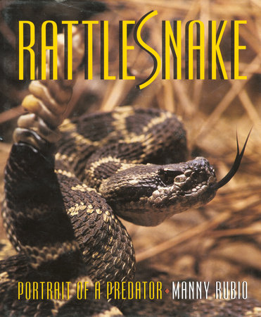 Rattlesnake by Manny Rubio