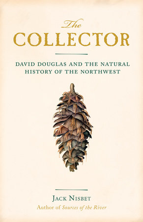The Collector by Jack Nisbet