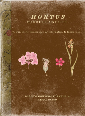 Hortus Miscellaneous by Lorene Forkner and Linda Plato