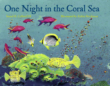 One Night in the Coral Sea by Sneed B. Collard III