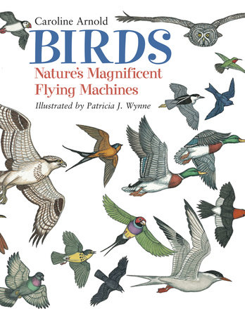 Birds by Caroline Arnold