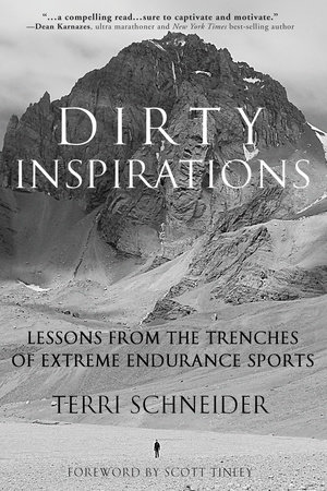 Dirty Inspirations by Terri Schneider