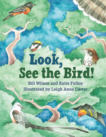 Look, See the Bird! by Bill Wilson and Katie Fallon