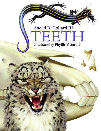 Teeth by Sneed B. Collard III