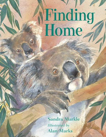 Finding Home by Sandra Markle