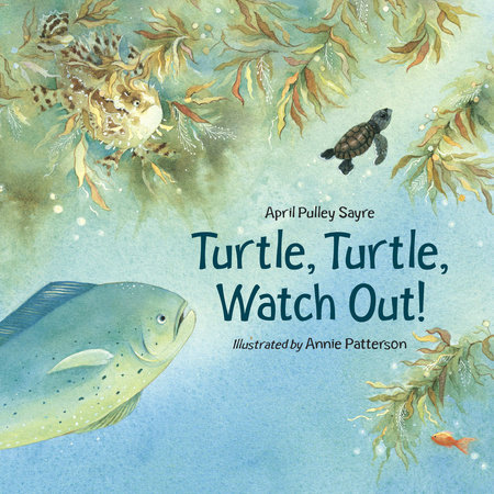 Turtle, Turtle, Watch Out! by April Pulley Sayre
