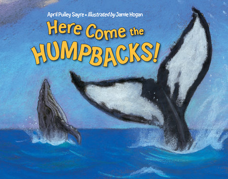 Here Come the Humpbacks! by April Pulley Sayre