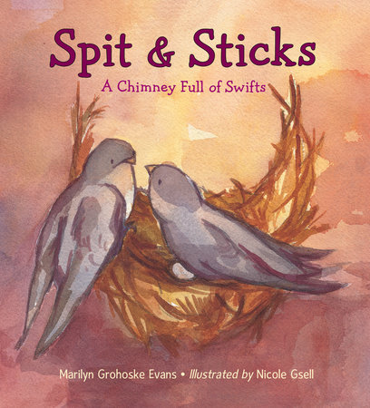 Spit & Sticks by Marilyn Grohoske Evans