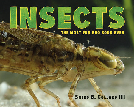 Insects by Sneed B. Collard III