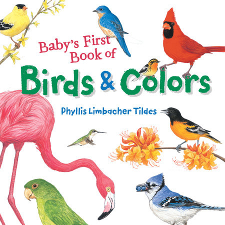 Baby's First Book of Birds & Colors by Phyllis Limbacher Tildes