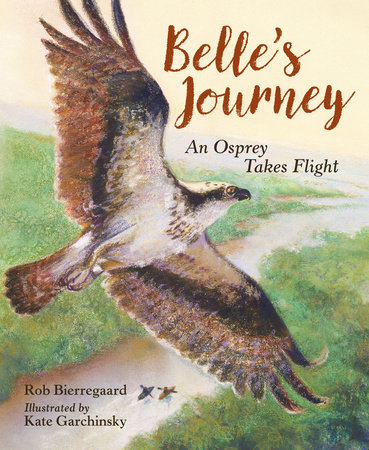 Belle's Journey by Rob Bierregaard