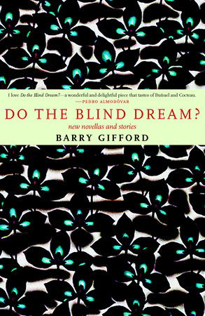 Do the Blind Dream? by Barry Gifford