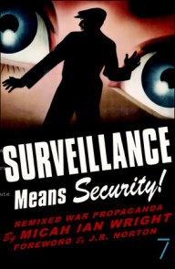 Surveillance Means Security