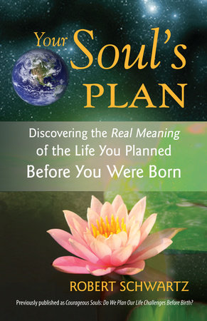 Your Soul's Plan by Robert Schwartz